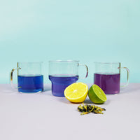 Pois Papillon Bio - lot de 4 paquets